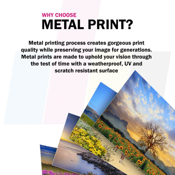 Why Choose Metal Print