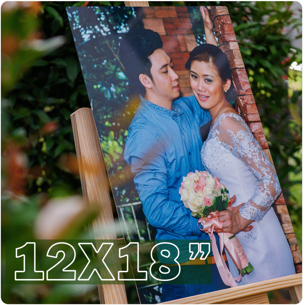 elan cover 12x18 rounded png