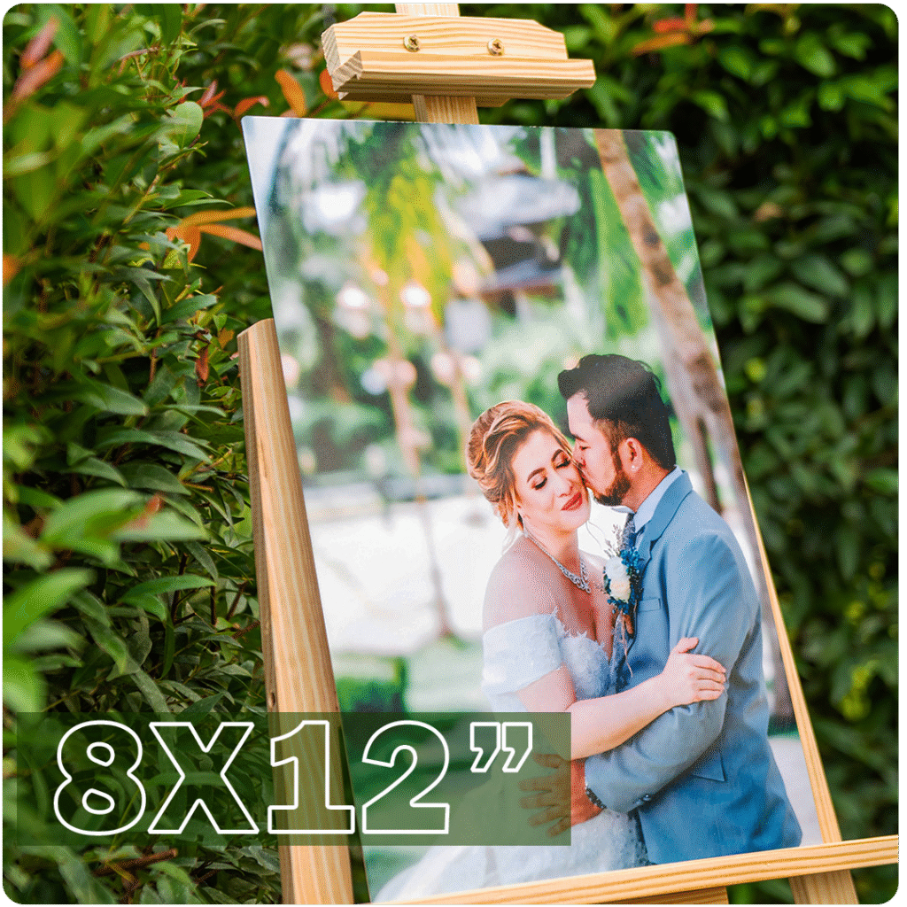 elan cover 8x12 rounded png