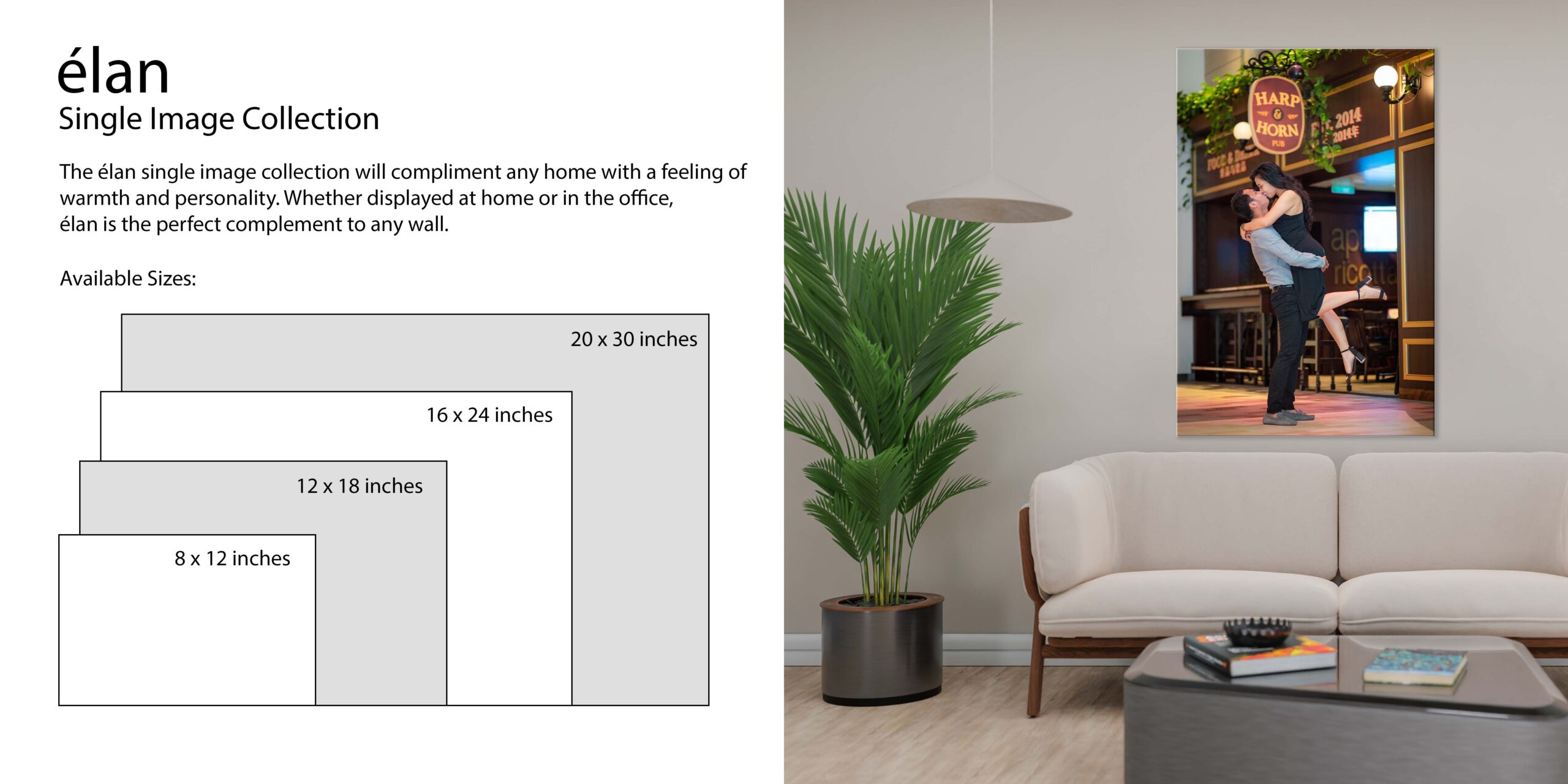 elan prices 2x4 i