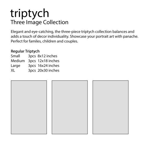 triptych reg prices 1x1 i